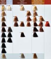 /album/milaton-3d/vzornik-1mila-jpg/