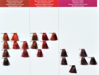 /album/milaton-3d/vzornik-2mila-jpg/